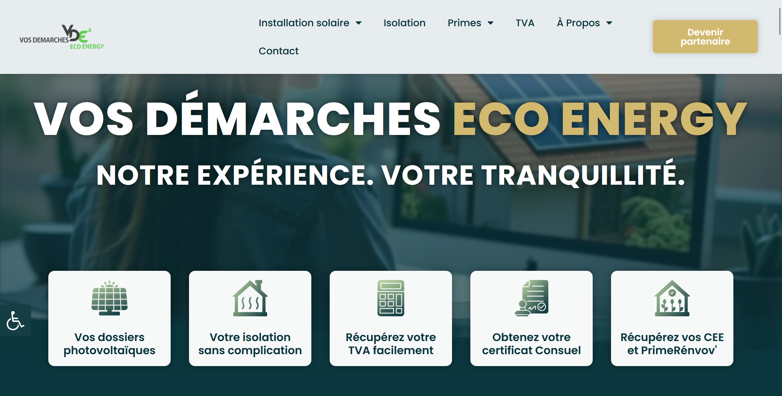 Screenshot of VD2E official website